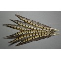 1 plume de queue de faisan lady amherst beige naturel 23-28 cm