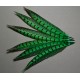 1 plume de queue de faisan lady amherst teintée vert foncé 23-28 cm