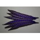 1 plume de queue de faisan lady amherst teintée pourpre  23-28 cm
