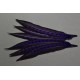 1 plume de queue de faisan lady amherst teintée pourpre  23-28 cm