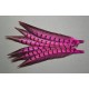 1 plume de queue de faisan lady amherst teintée fuchsia  23-28 cm