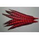1 plume de queue de faisan lady amherst teintée rouge  23-28 cm