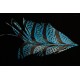 tronçon de plume de queue de faisan lady amherst teinté turquoise 10 cm