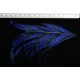 tronçon de plume de queue de faisan lady amherst teinté bleu brillant10 cm