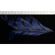 tronçon de plume de queue de faisan lady amherst teinté perwinkel 10 cm