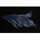 tronçon de plume de queue de faisan lady amherst teinté perwinkel 10 cm