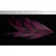 tronçon de plume de queue de faisan lady amherst teinté pourpre 10 cm
