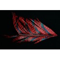 tronçon de plume de queue de faisan lady amherst teinté rouge 10 cm