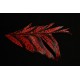 tronçon de plume de queue de faisan lady amherst teinté rouge 10 cm