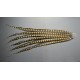 plume de queue de faisan lady amherst nat beige 80-90 cm