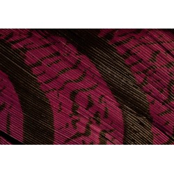 plume de queue de faisan lady amherst teintées pourpre 70-80 cm