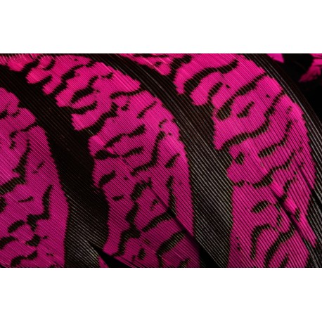 plume de queue de faisan lady amherst teintées fuchsia 70-80 cm