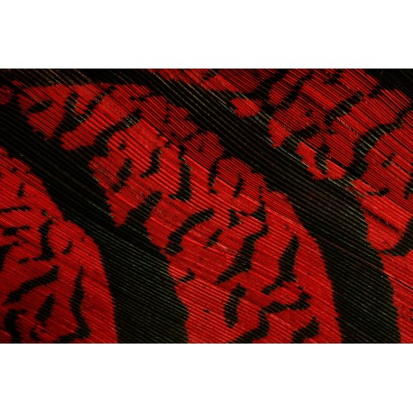 plume de queue de faisan lady amherst teintées rouge 70-80 cm