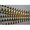 queue de faisan venéré naturel 70-80 cm