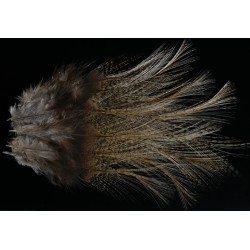 plumes de selle de coq de léon light pardo