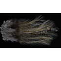 8 plumes de selle de coq de léon light pardo