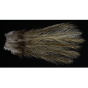 6 plumes de selle de coq de léon light pardo
