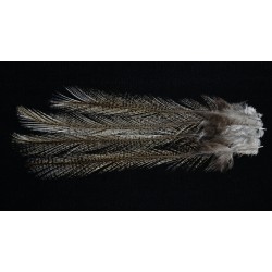 4 plumes de selle de coq de léon light pardo
