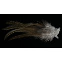 4 plumes de selle de coq de léon medium pardo