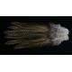 6 plumes de selle de coq de léon medium pardo