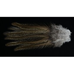 6 plumes de selle de coq de léon medium pardo