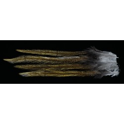 4 plumes de selle de coq de léon light ginger pardo