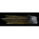 4 plumes de selle de coq de léon light ginger pardo