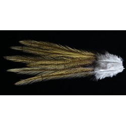 6 plumes de selle de coq de léon light ginger pardo