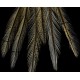 6 plumes de selle de coq de léon light ginger pardo