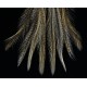 8 plumes de selle de coq de léon light ginger pardo