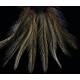 8 plumes de selle de coq de léon light ginger pardo