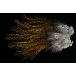12 plumes de selle de coq de léon light ginger pardo