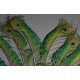 plumes demi oeuil de queue de paon bleu 70-75 cm