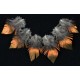 6 plumes de cou de lophophore resplendissant