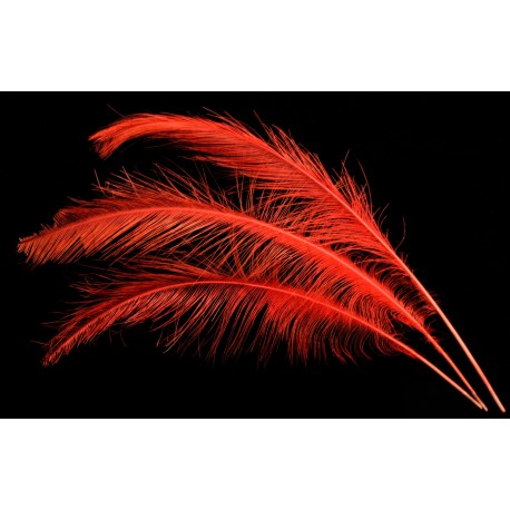 plume d'aile de nandou teintée rouge fluo 35-45 cm