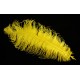 plume d'aile d'autruche teintées jaune soleil 55 cm