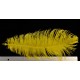 plume d'aile d'autruche teintées jaune soleil 55 cm