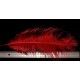plume d'aile d'autruche teintées rouge 55 cm