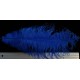 plume d'aile d'autruche teintées bleu brillant 55 cm