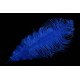 plume d'aile d'autruche teintées bleu brillant 55 cm