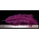 plume d'aile d'autruche teintées pourpre 55 cm