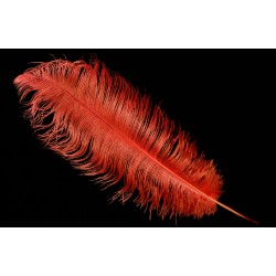 plume d'aile d'autruche teintées rouge fluo 55 cm